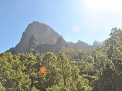 Dsc 0145